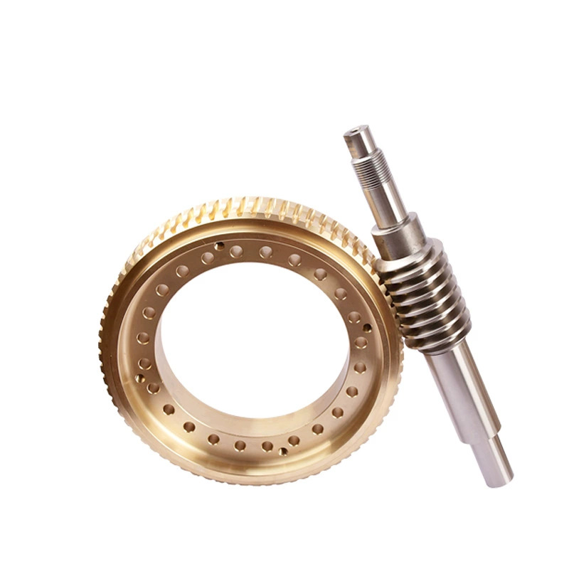 Wen Nan double-lead turbine worm with zero backlash in both forward and reverse directions, CNC grinding machine aluminum bronze turbine worm undefined