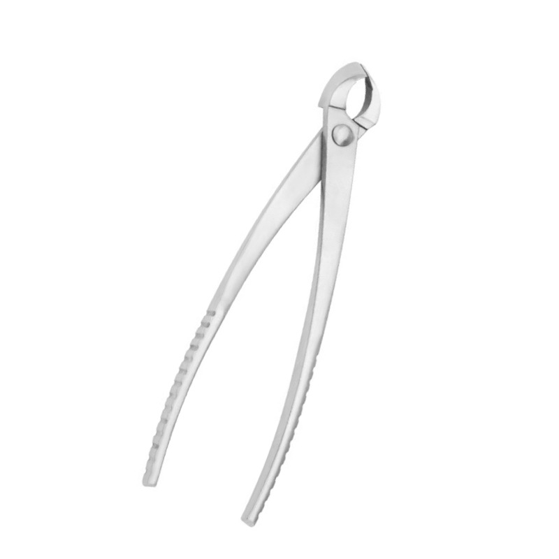 Bonsai shaped stainless steel leaf and bud pruners, orchid seedling division pruners, branch pruning scissors, garden scissors, flower arrangement leaf picking, household scissors Item Picture