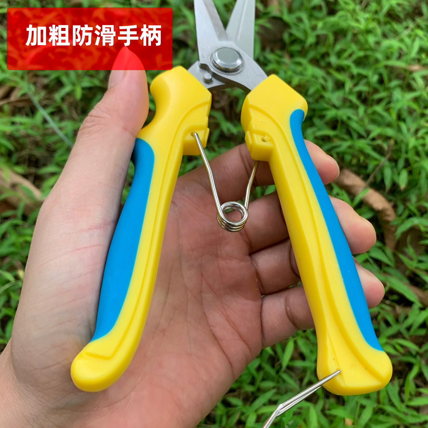 Stainless steel pruning shears, garden shears, pitaya and grape shears, multi-functional pruning shears, fruit branch shears, special handcrafted for garden fruit picking details Picture