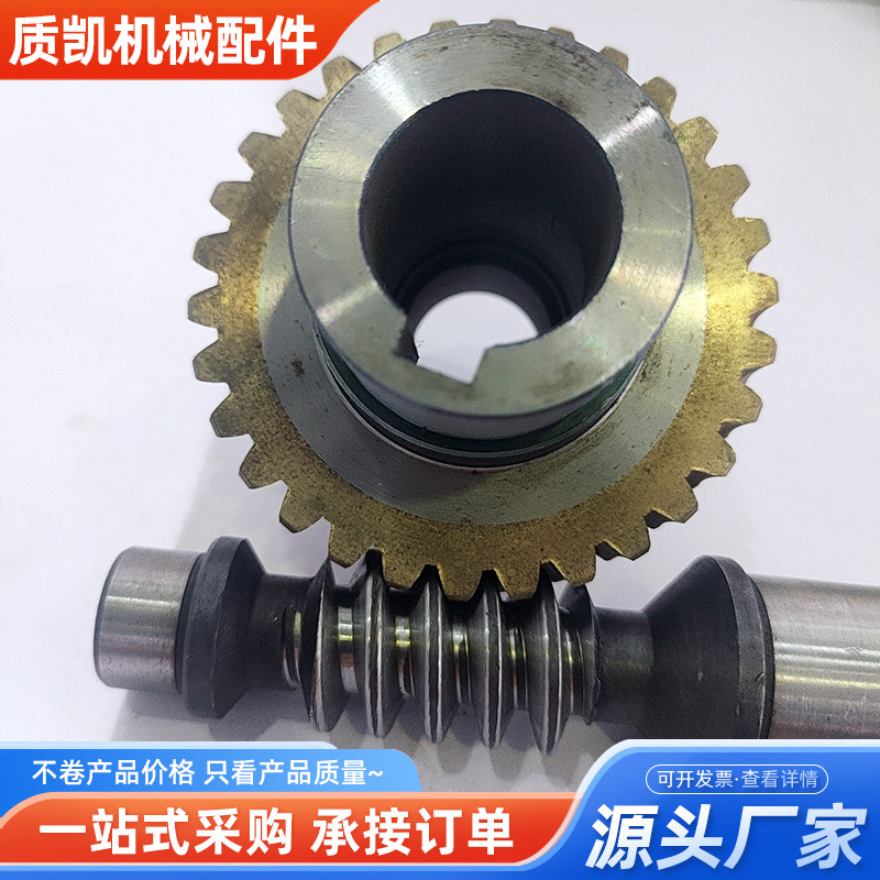 Supply worm gear and worm DC gear motor parts, large transmission ratio helical tooth brass worm gear matching worm full figure