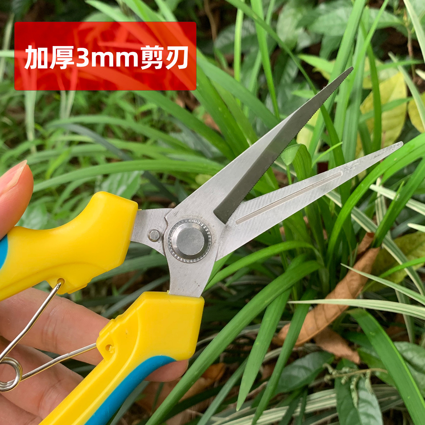 Stainless steel pruning shears, garden shears, pitaya and grape shears, multi-functional pruning shears, fruit branch shears, special handcrafted for garden fruit picking Specification drawing