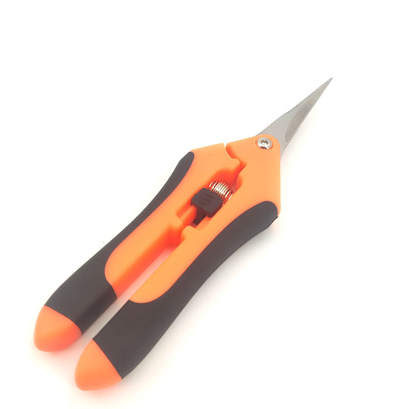Stainless steel grape shears, fruit tree pruning scissors, outdoor gardening tools, garden floral art scissors, garden fruit picking scissors Item Picture