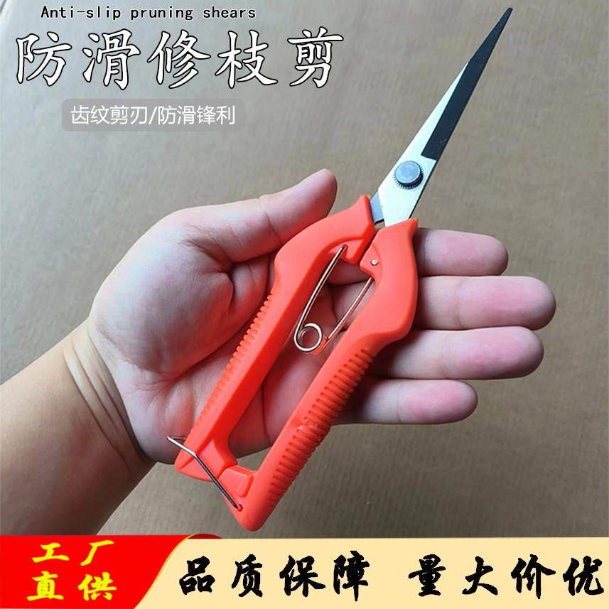 Direct sales of grape shears, pruning shears, garden color fruit shears, potted plant pruning tools, orange grape picking shears, flower shears full figure