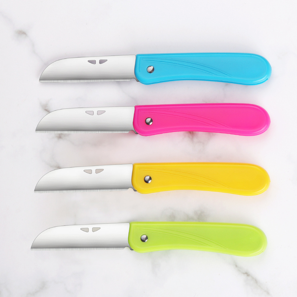 Colorful candy-colored fruit knife, stainless steel fruit peeler, portable 4-inch peeler with knife case, gift small knife details Picture