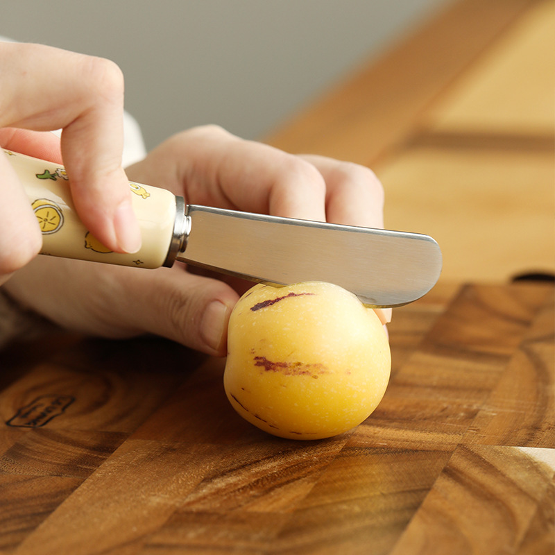 Bread and toast spread knife, mini cream cheese jam spatula, butter knife, stainless steel fruit slicer Item Picture