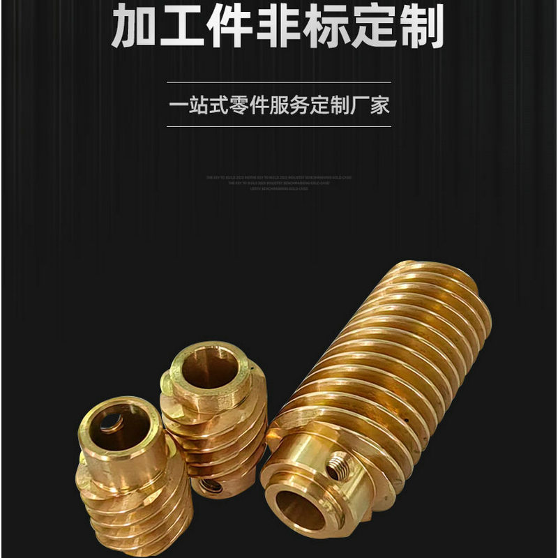 CNC lathe processing of non-standard small module five-head copper worm motor gear reducer worm X20 Leide Co., LTD full figure