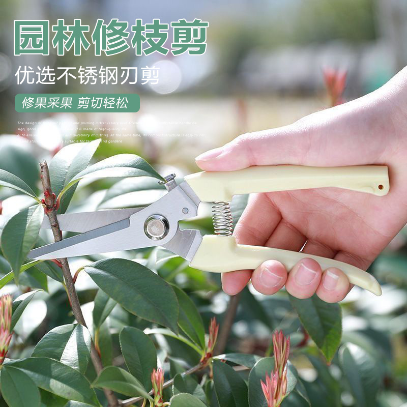 Pruning shears for branches, special shears for fruit tree picking, garden flower art shears, powerful scissors for gardeners to graft Specification drawing