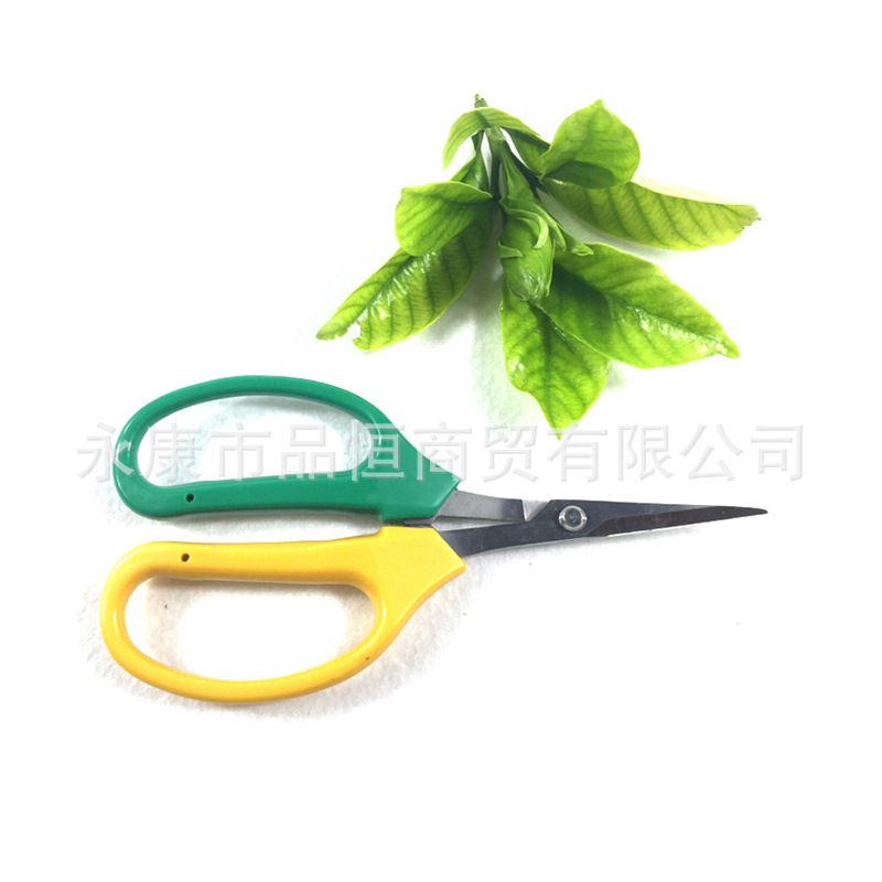 Grape-specific upturned head garden scissors, fruit thinning scissors, fruit trimming scissors, upturned head thinning fruit scissors, lean fruit scissors, stainless steel Specification drawing