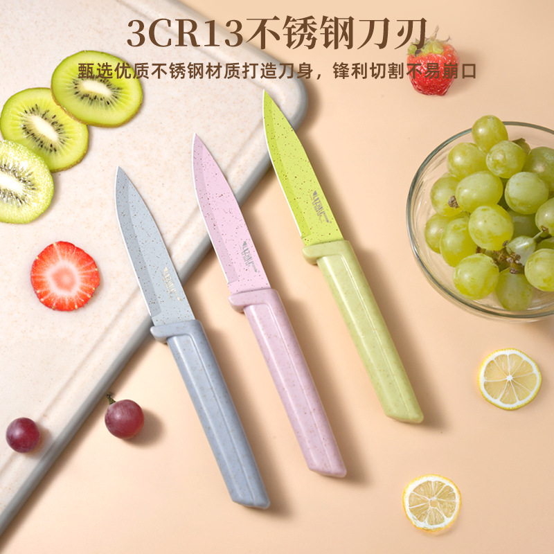 Hot-selling household stainless steel fruit knives, wheat stem eco-friendly handles, embossed kitchen peelers, factory wholesale details Picture