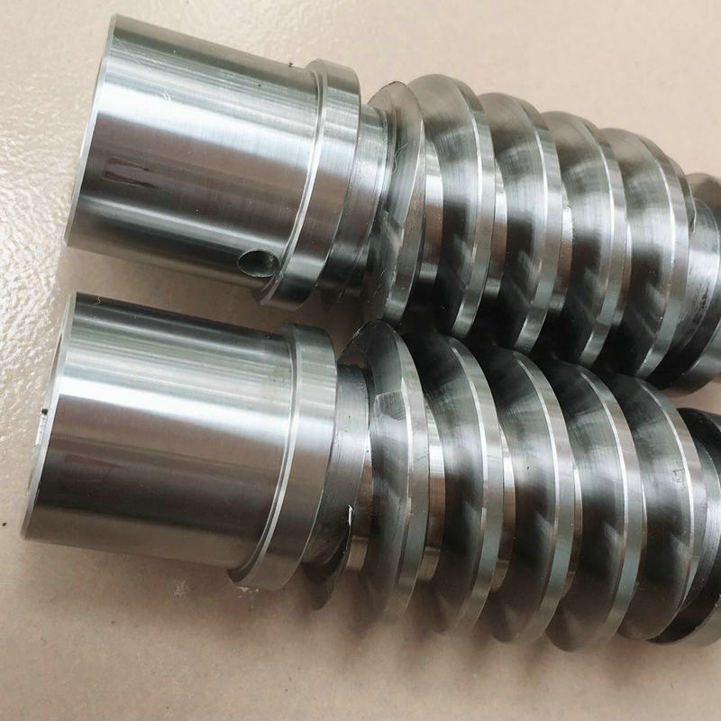 Multi-head turbine worm, stainless steel double-head worm, Archimedes worm turbine full figure