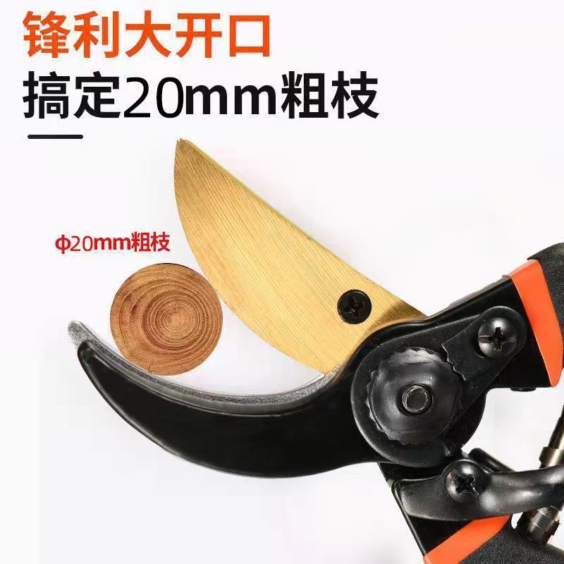 We offer German imported sk5 steel powerful garden shears, pruning shears, and grafting shears for garden flowers, trees and fruit trees. The tools are sharp details Picture