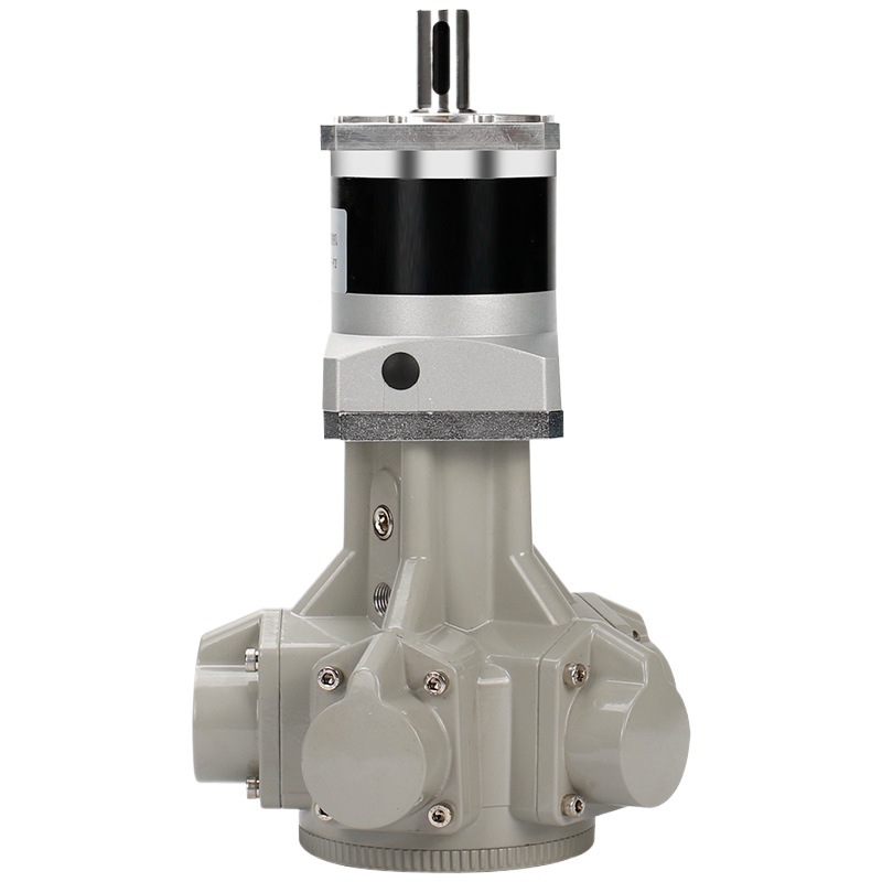 High-torque explosion-proof piston pneumatic motor planetary reduction stirring transmission, high power for forward and reverse rotation, 1100 speed ratio Item Picture