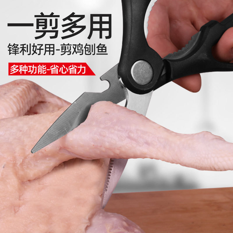 Wholesale of household convenient kitchen scissors, sharp stainless steel scissors for barbecuing, and multi-functional scissors for complementary foods from Yangjiang manufacturers details Picture