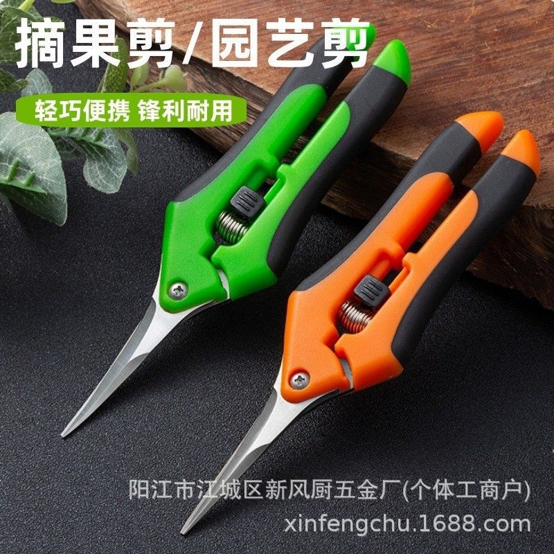 Stainless steel grape shears, fruit tree pruning scissors, outdoor gardening tools, garden floral art scissors, garden fruit picking scissors full figure