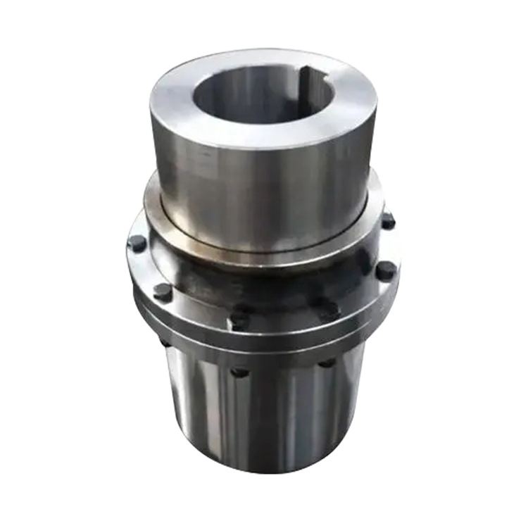 GIICL brake wheel type gear coupling manufacturer for water conservancy equipment Item Picture