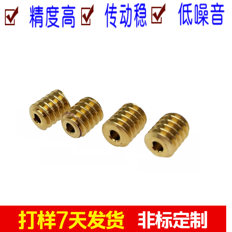 Source factory non-standard precision worm gear and worm processing, 0.5 mold precision small worm gear transmission parts processing details Picture