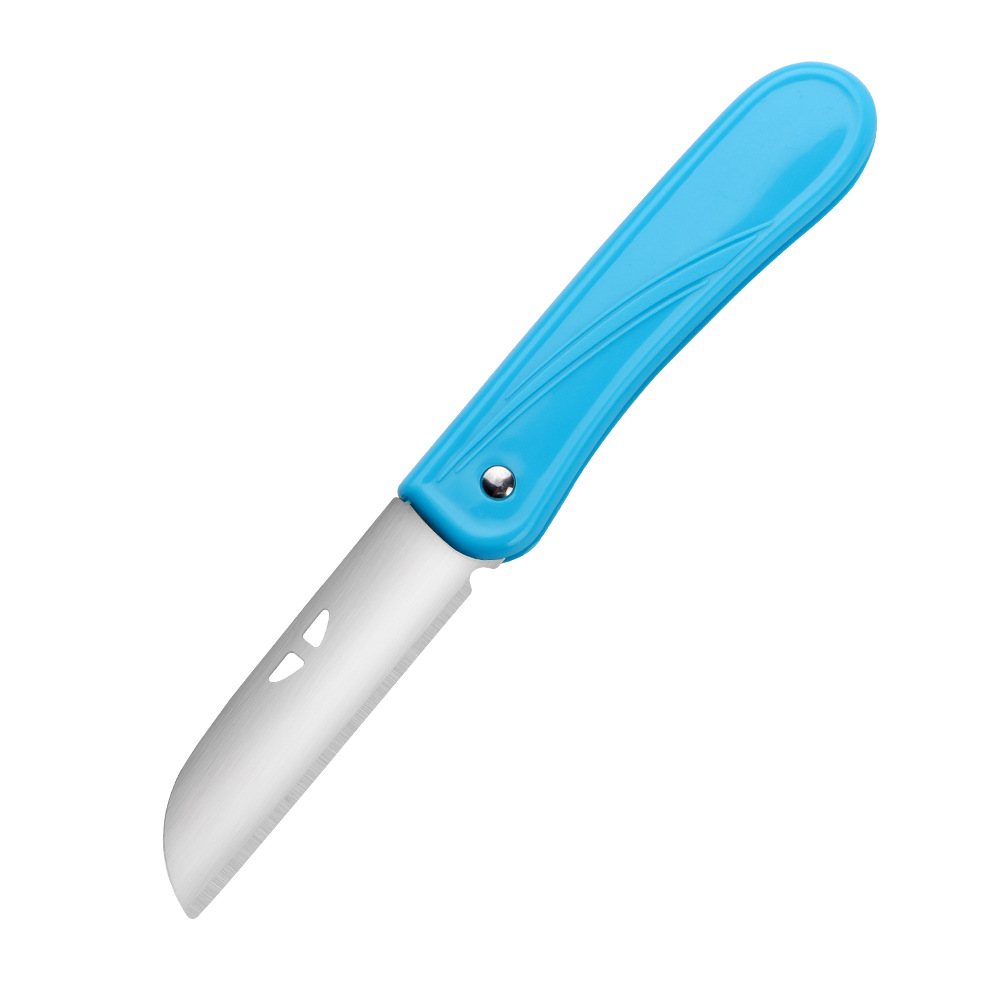 Colorful candy-colored fruit knife, stainless steel fruit peeler, portable 4-inch peeler with knife case, gift small knife Item Picture