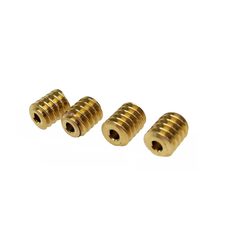 Source factory non-standard precision worm gear and worm processing, 0.5 mold precision small worm gear transmission parts processing Application Scenario