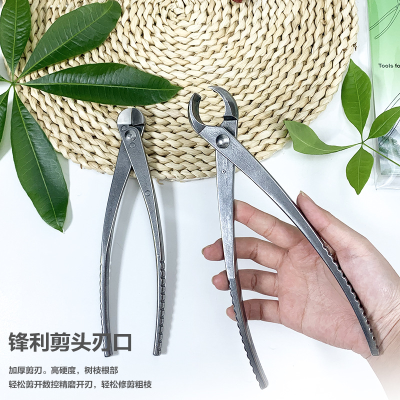 Thickened leaf bud scissors, all-stainless steel garden scissors, tender bud pruning, small branch cutting, bonsai long-pole scissors tools Specification drawing