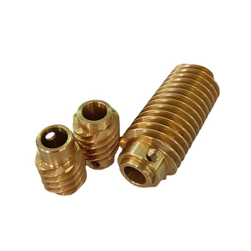 CNC lathe processing of non-standard small module five-head copper worm motor gear reducer worm X20 Leide Co., LTD Application Scenario