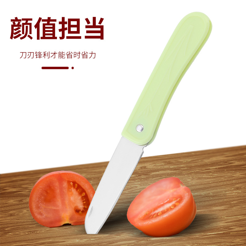 Nordic folding stainless steel fruit knife, portable household peeler knife, peeling knife, fruit knife, baby food knife Application Scenario