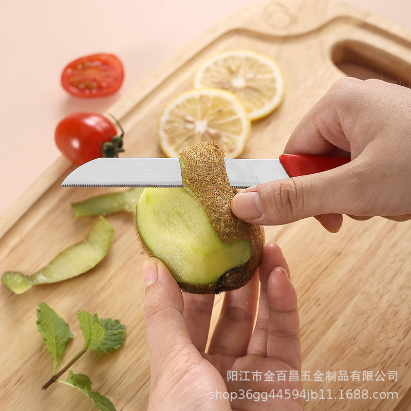 Stainless steel portable fruit knife with household baby food knife, suitable for office, dormitory and kitchen fruit cutting details Picture
