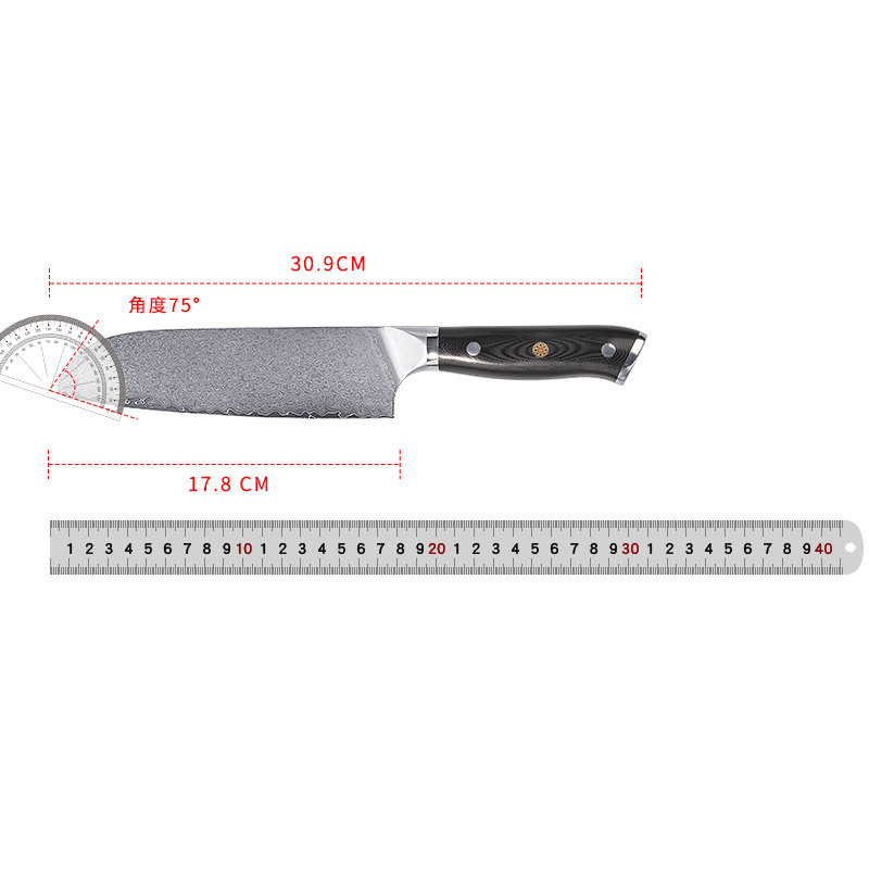 In stock: 67-layer Damascus VG10 steel chef knife, meat cutting knife, sushi cooking knife, fruit knife, G10 handle Item Picture