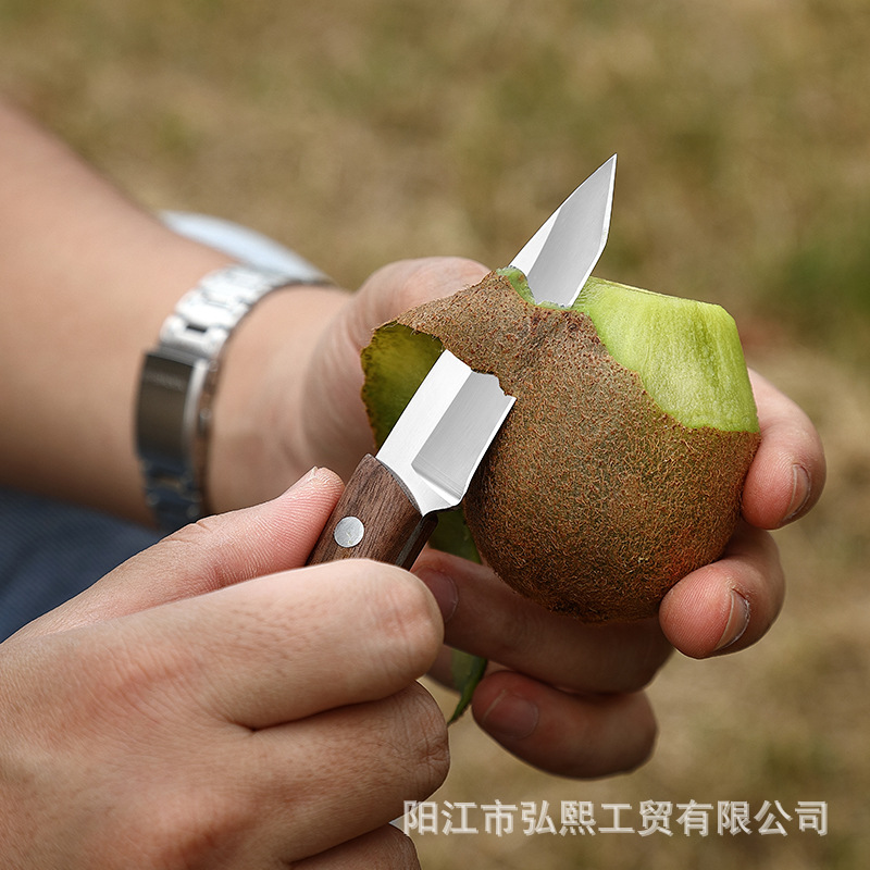 Stainless steel fruit knife with scabbed, kitchen vegetable knife, wooden handle peeler, portable outdoor camping knife, Yangjiang knife Specification drawing