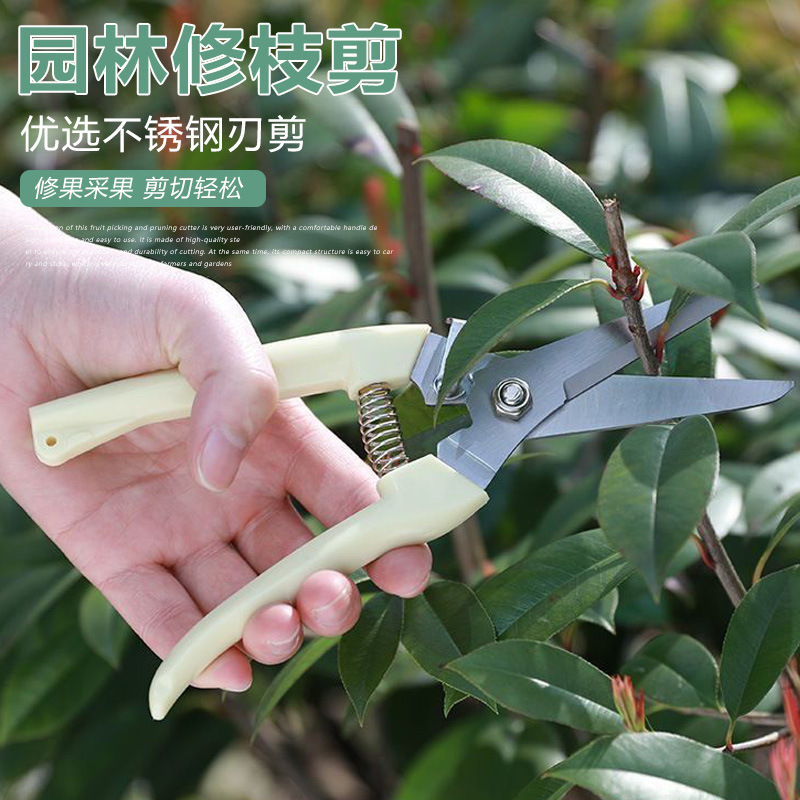 Pruning shears for branches, special shears for fruit tree picking, garden flower art shears, powerful scissors for gardeners to graft details Picture