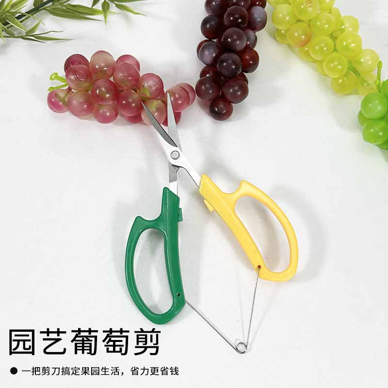 Stainless steel upturned grape shears, stainless steel fruit pickers, fruit and vegetable shears for orchards and greenhouses, potted garden elbow shears details Picture