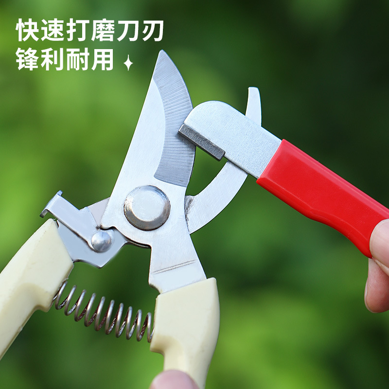 Special-shaped blade sharpening tool, whetstone, household fruit branch scissors, quick sharpening tool, scissors, kitchen knife cutting tool Application Scenario