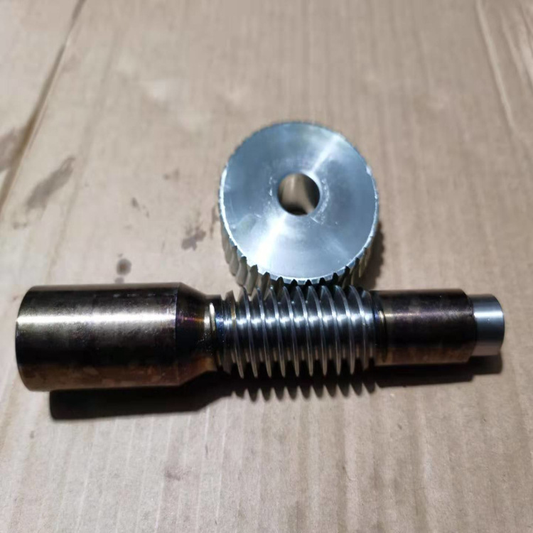 Process and produce Archimedes worm gear and worm small module worm gear and worm metering pump 72 pump X20 Application Scenario