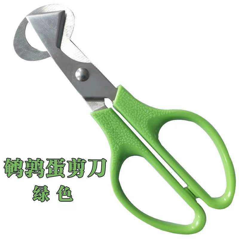 Quail egg scissors, stainless steel egg cutter, bird egg opening and shell opening scissors, eggshell opening and slicer, kitchen scissors details Picture