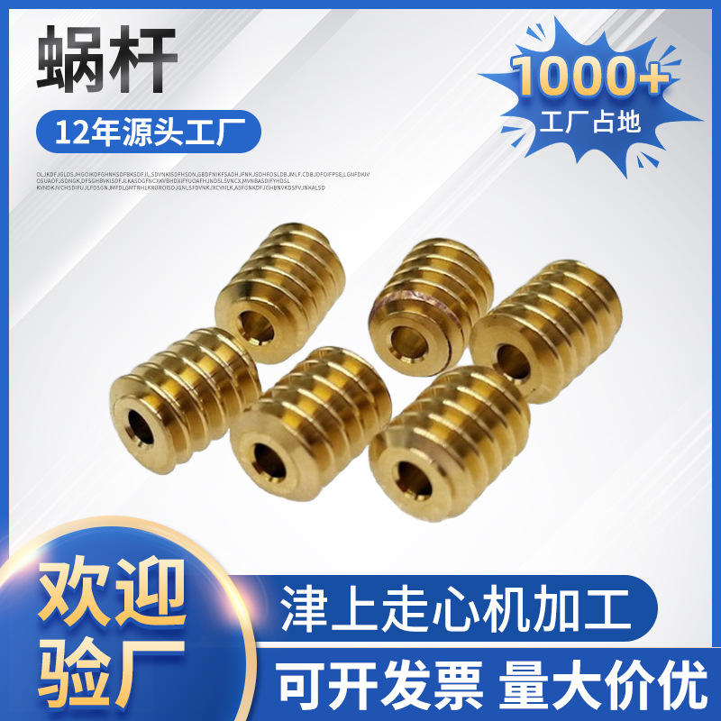Source factory non-standard precision worm gear and worm processing, 0.5 mold precision small worm gear transmission parts processing full figure