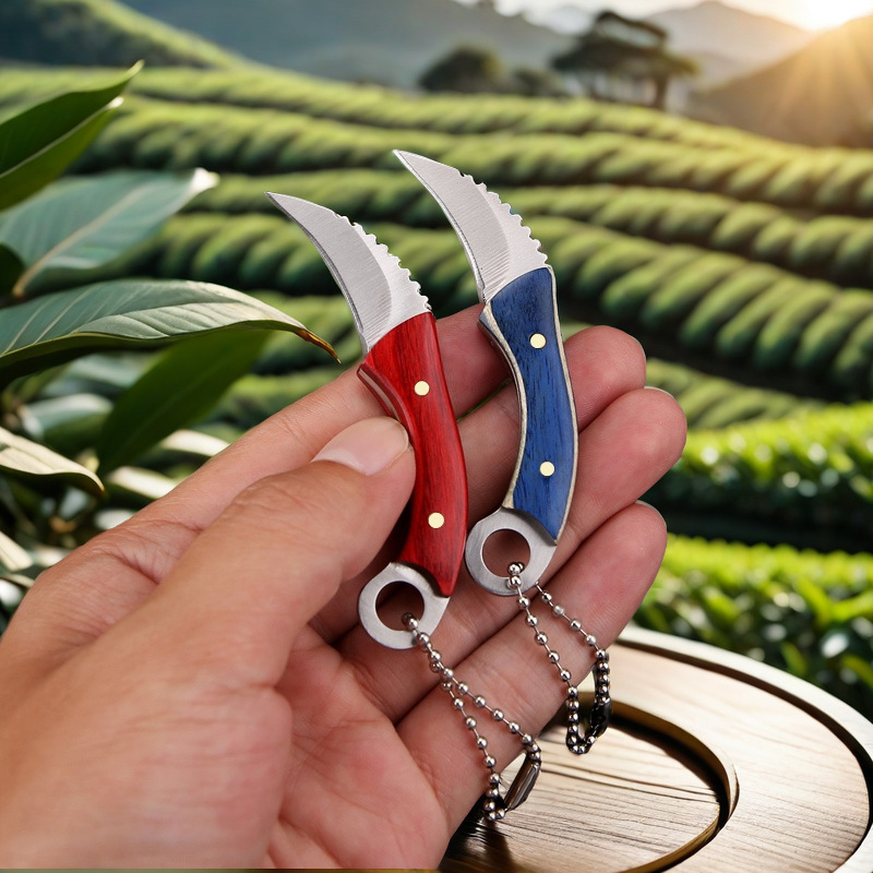 In stock: mini knife, claw knife, express delivery knife, pocket knife, fruit knife, keychain decorative chain knife, portable box opening knife details Picture