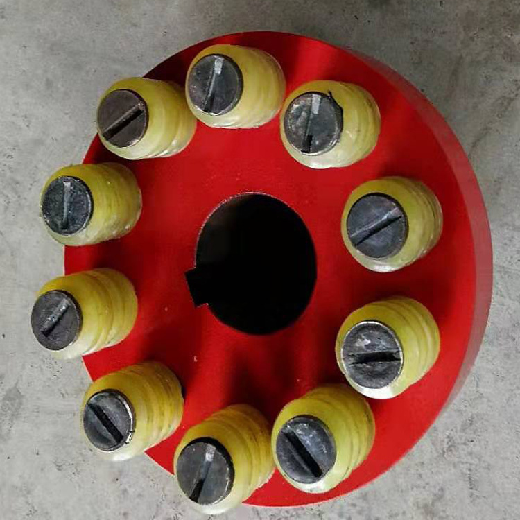 TL type pin coupling motor backrest wheel coupling LT elastic sleeve cancellation connector cast iron details Picture