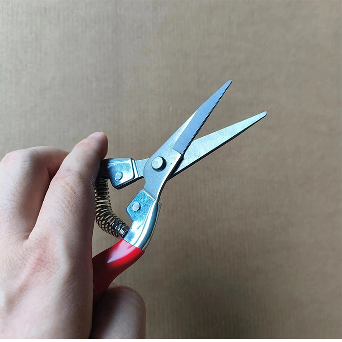 Factory direct sales of iron-handled pruning shears, garden shears, fruit-picking shears, anti-slip pruning shears, grape shears, large, medium and small shears Specification drawing