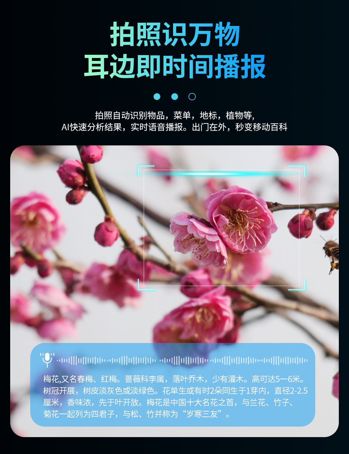 AI smart shooting glasses, smart dialogue, AI translation, photo-taking glasses, video recording, photography, AI object recognition, meeting assistant pic 10