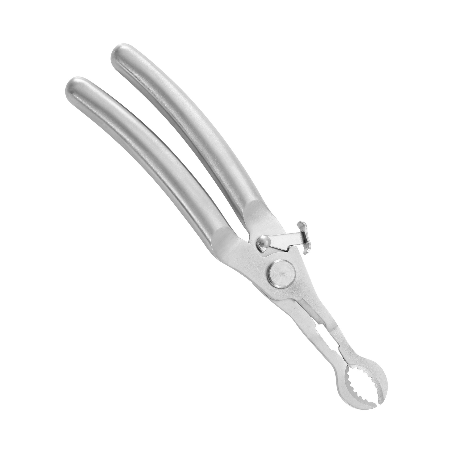 Stainless steel hawthorn seed remover, multi-functional sugar-coated hawthorn pliers, spring hawthorn shearer, fruit core remover, hawthorn seed remover Item Picture