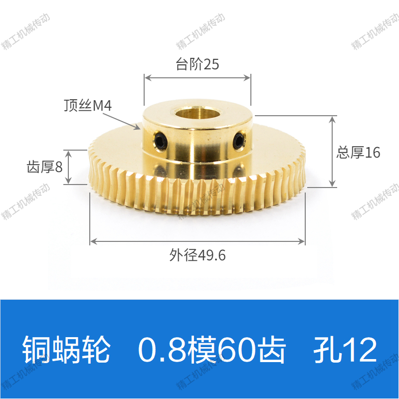 Copper worm gear and worm 0.8 mold 20/25/30/35/40/50/60 stainless steel worm turbine transmission gears undefined