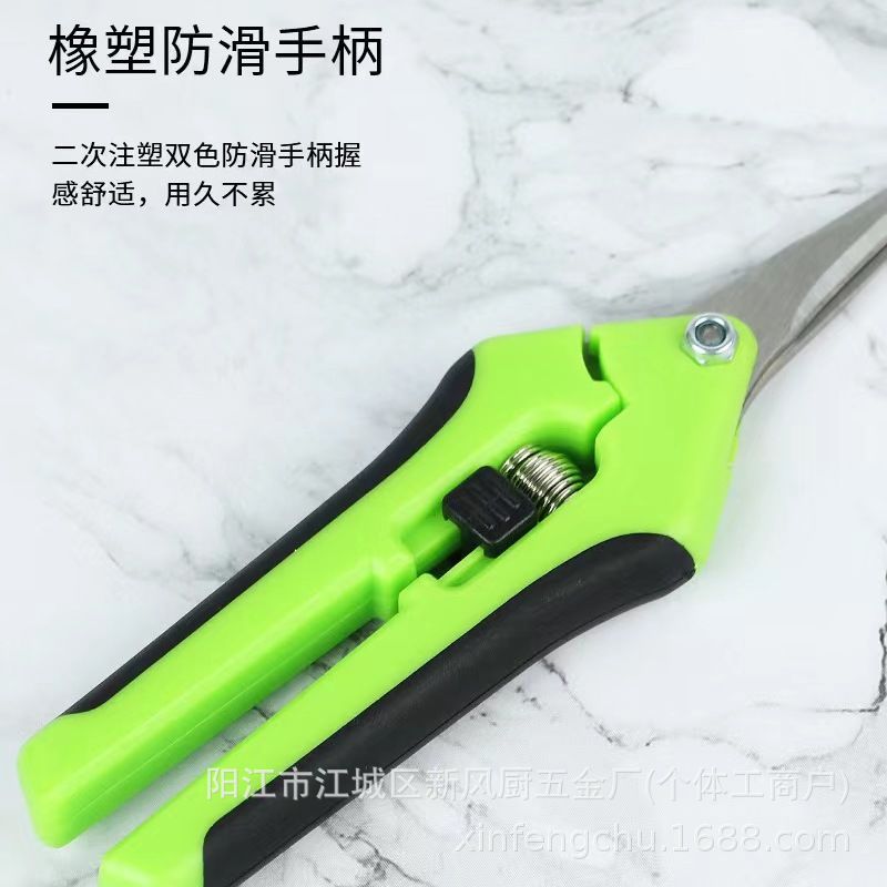 Stainless steel grape shears, fruit tree pruning scissors, outdoor gardening tools, garden floral art scissors, garden fruit picking scissors Specification drawing