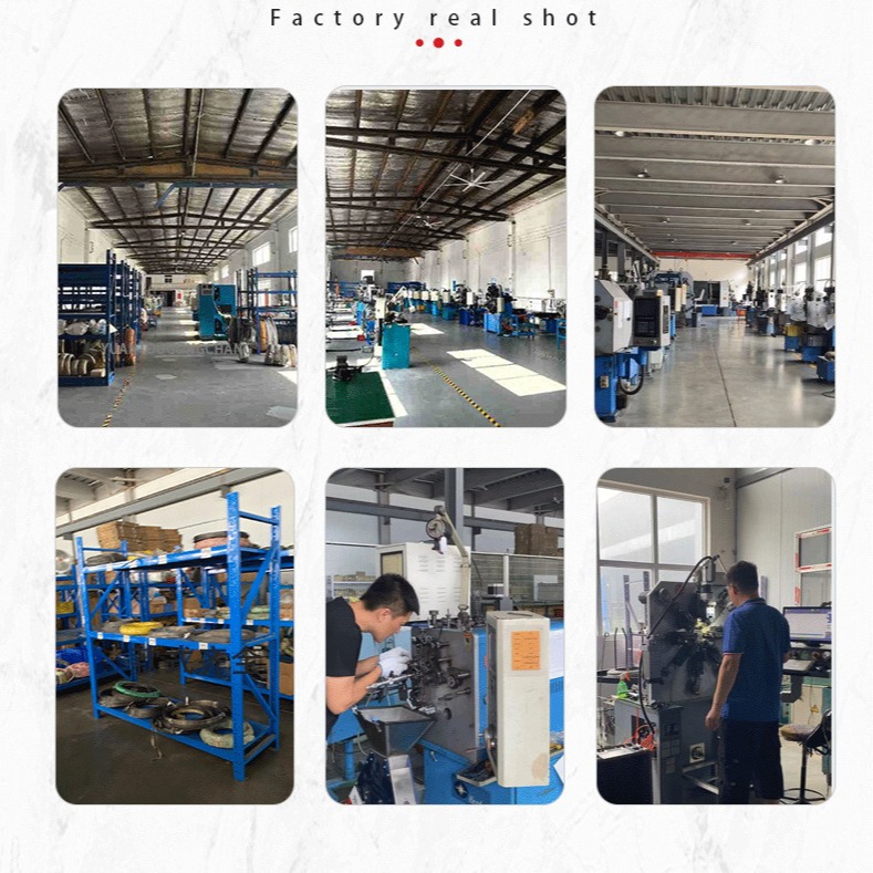 Customized 304 stainless steel tension spring, galvanized tension spring, trampoline spring with hook, tension spring manufacturer details Picture