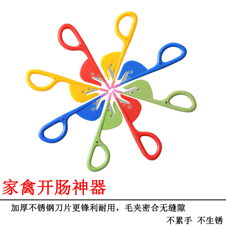 Chicken intestine knife, intestine unblocking knife, intestine cutting magic tool, intestine unblocking machine, chicken, duck and goose intestine breaking knife, intestine piercing knife, duck intestine turning and intestine breaking knife Application Scenario