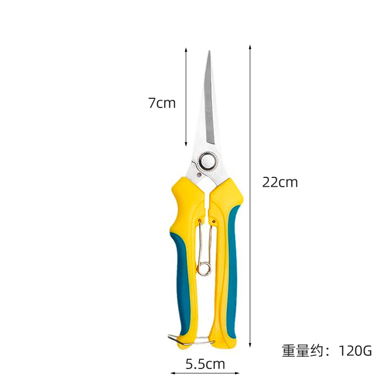 Stainless steel pruning shears, garden shears, pitaya and grape shears, multi-functional pruning shears, fruit branch shears, special handcrafted for garden fruit picking Application Scenario