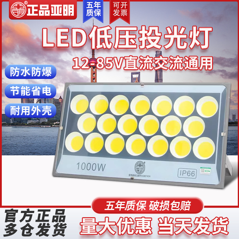 Yaming LED floodlights, low-voltage Marine DC battery 12V, 24V, 36V, 100W battery outdoor waterproof floodlights full figure