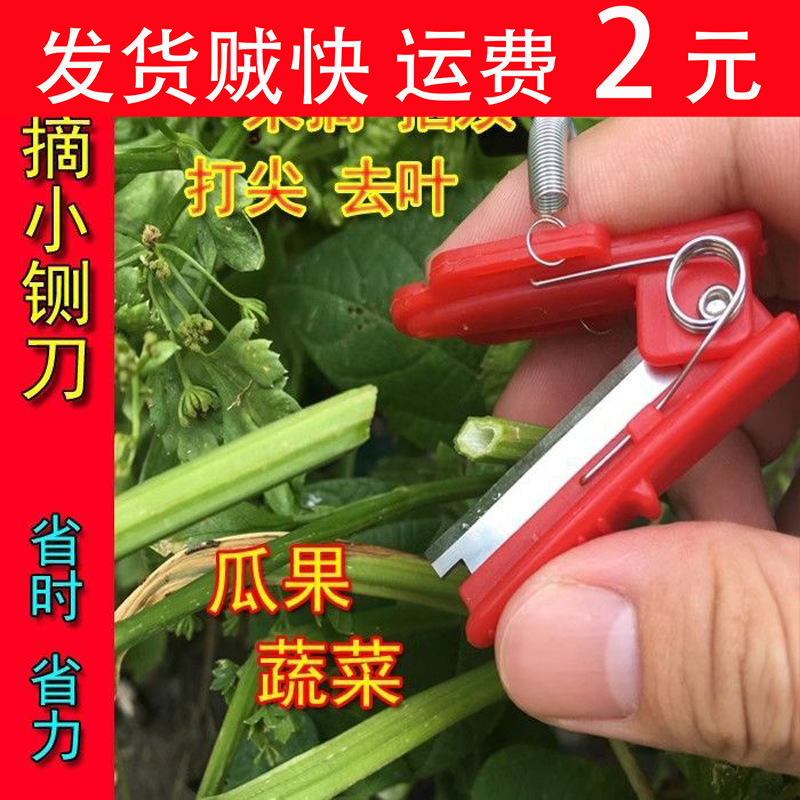 The small guillotine hand ring vegetable picker is a divine tool for picking vegetables and fruits, cucumbers, peppers, beans, and grapes. Pinch the tips, prune the branches, and remove the leaves full figure