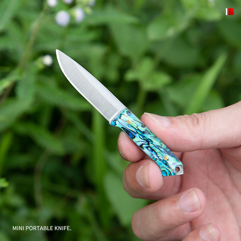 Outdoor self-defense knife, exquisite small straight knife, creative fruit knife, pocket knife, portable stainless steel mini knife, necklace knife undefined
