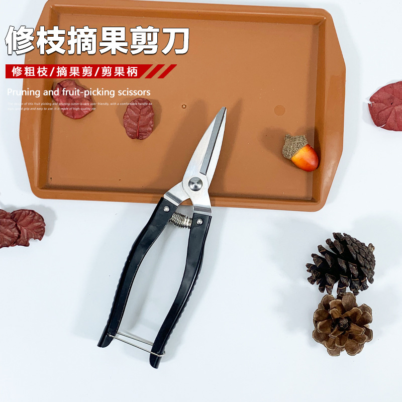 Luoding stainless steel fruit-picking shears, citrus shears, garden pruning shears, extra-large round-head fruit-picking shears, pepper fruit shears details Picture