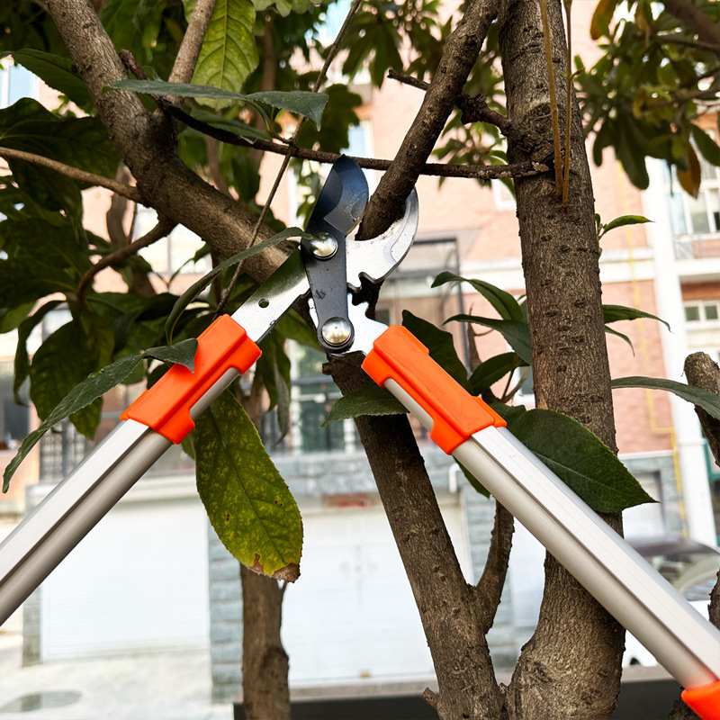 Garden scissors, labor-saving large scissors, powerful garden scissors, strong telescopic high branch pruning scissors, branch pruning scissors, thick branch pruning fruit trees Application Scenario