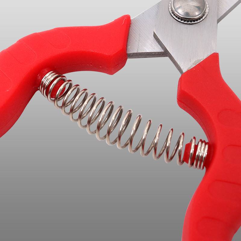 # Gardening Scissors, Flower and Tree Pruning Scissors, Household flower pruning scissors, Fruit Tree Pruning scissors, Flower succulent bud Leaf pruning workers Specification drawing